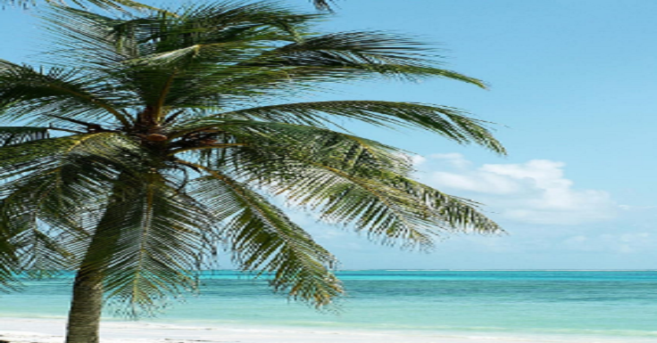 Plam Beach