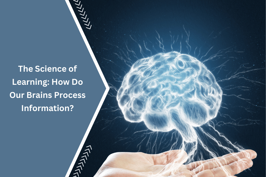 Brain processing information through various cognitive functions.